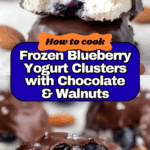 Wholesome Frozen Blueberry Yogurt Clusters Recipe