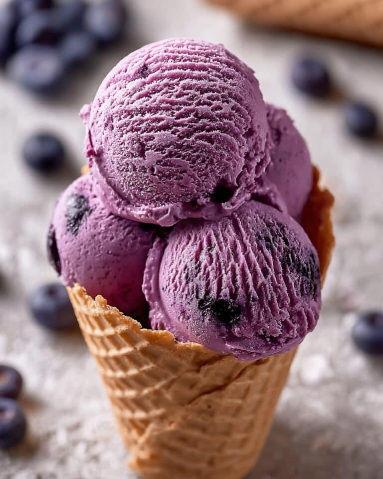No-Churn Blueberry Ice Cream Recipe